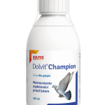 Dolvit Champion